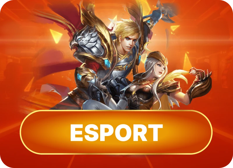 vnbet77 esport
